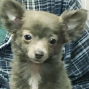 Meet your Posher, Claudia